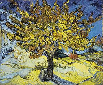 Vincent Van Gogh Mulberry Tree Spain oil painting art